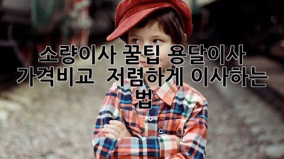 소량이사 꿀팁🍯 용달이사 가격비교 & 저렴하게 이사하는 법!
