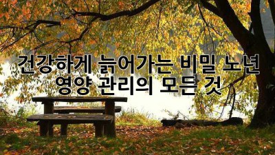 건강하게 늙어가는 비밀: 노년 영양 관리의 모든 것